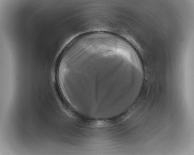X0000115090060200911241221