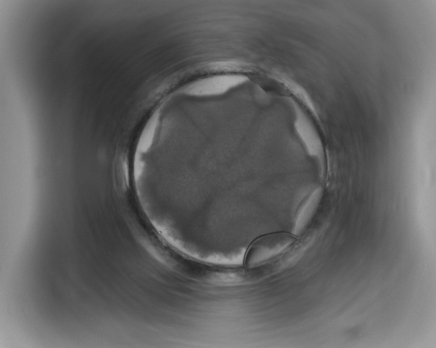 X0000115090061200911241221