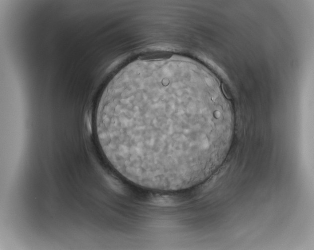 X0000115090062200911241221