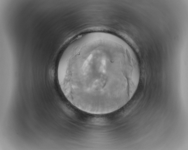 X0000115090063200911241221