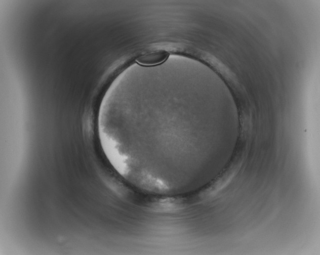 X0000115090064200911241222
