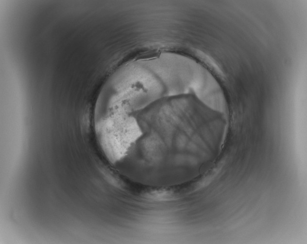 X0000115090065200911241222