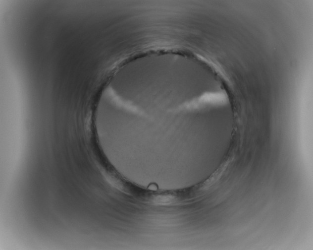 X0000115090066200911241222