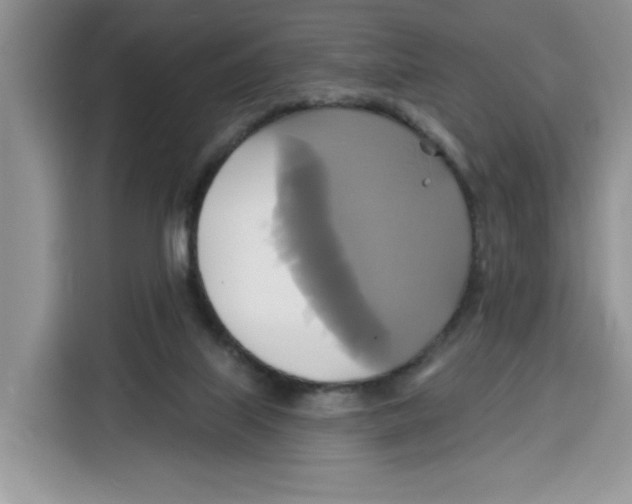 X0000115090067200911241222