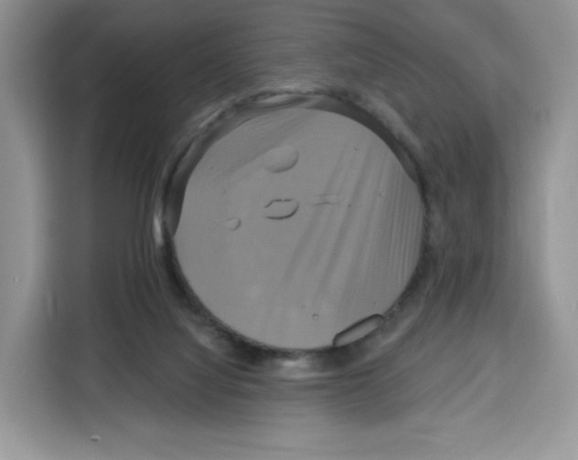 X0000115090068200911241222