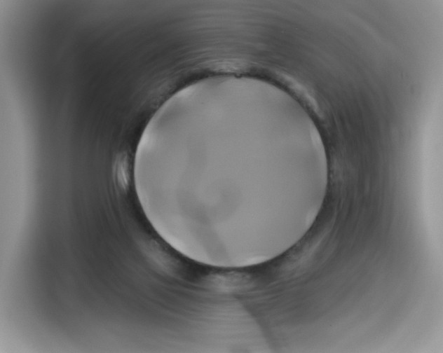 X0000115090069200911241222