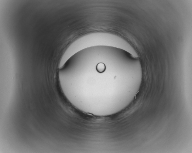 X0000115090072200911241222