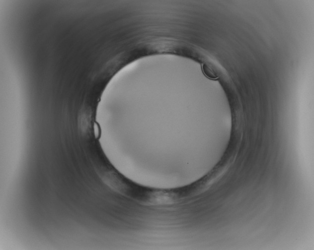 X0000115090073200911241222
