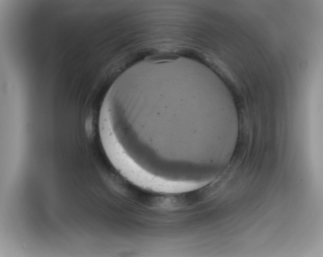 X0000115090074200911241222