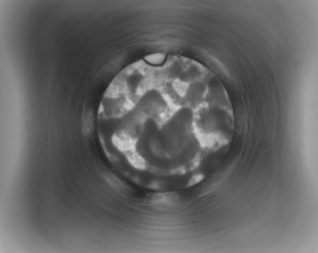 X0000115090077200911241222