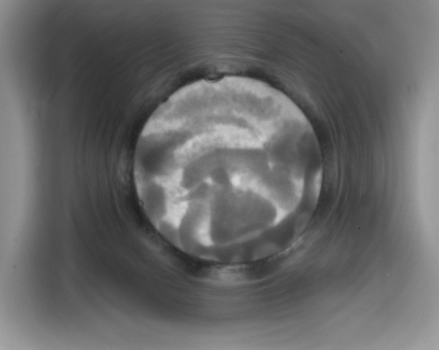 X0000115090078200911241222