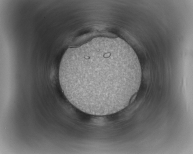 X0000115090079200911241222