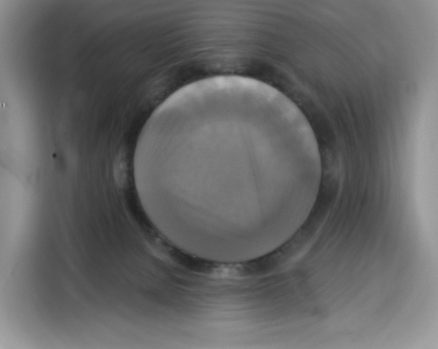 X0000115090080200911241222