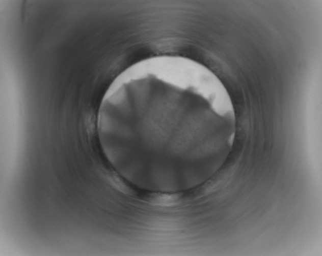 X0000115090081200911241222
