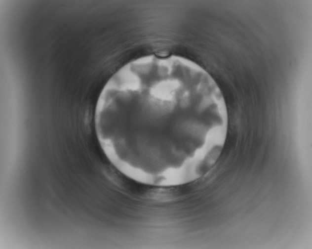 X0000115090082200911241222