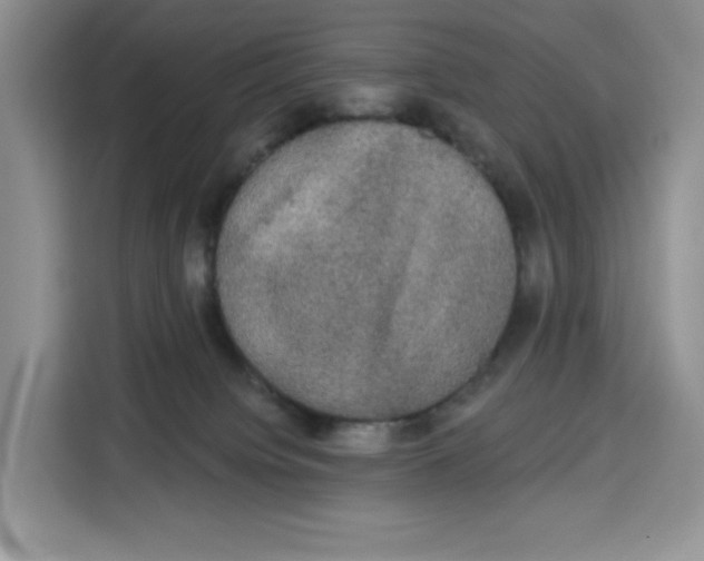 X0000115090084200911241222