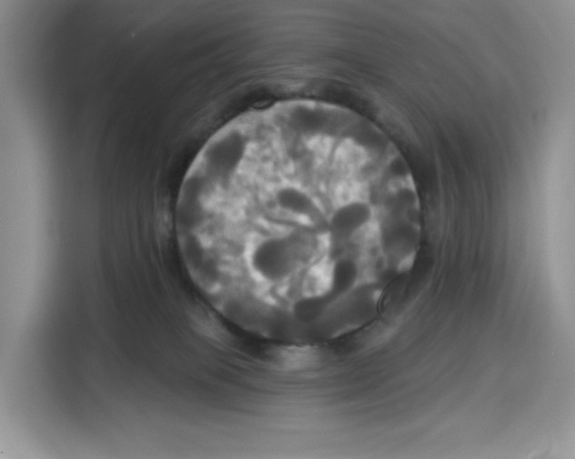 X0000115090085200911241222