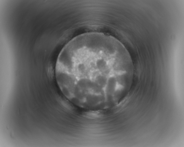 X0000115090086200911241222