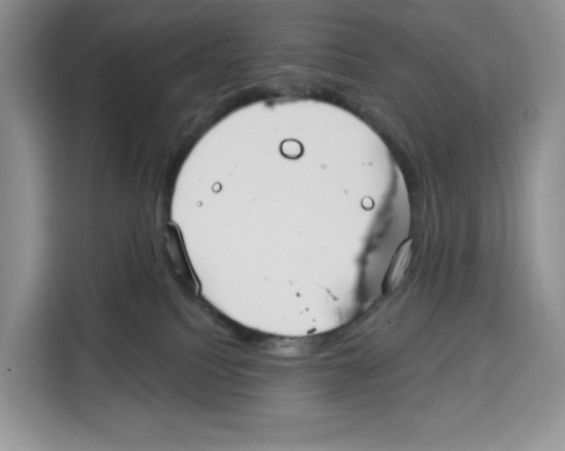 X0000115090088200911241222