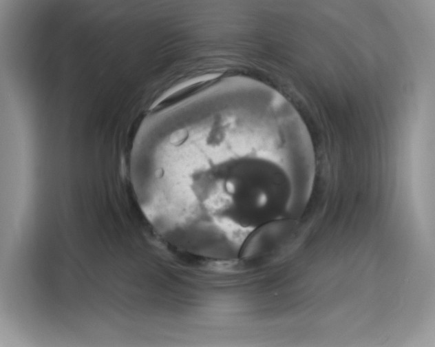 X0000115090089200911241222