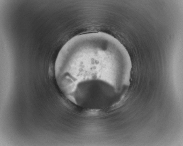 X0000115090090200911241222