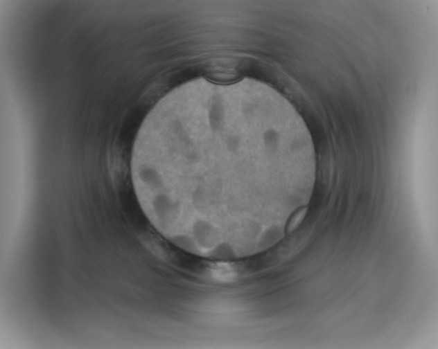X0000115090091200911241222