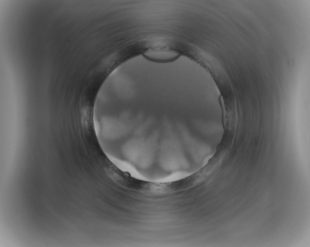 X0000115090093200911241222