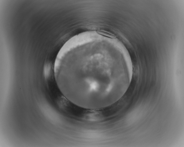 X0000115090095200911241222