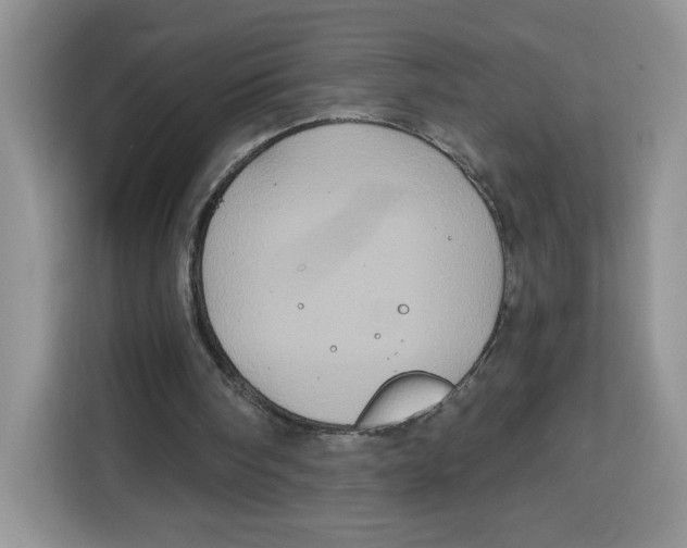 X0000115090098200911241221