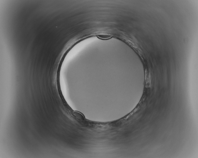 X0000115090099200911241221