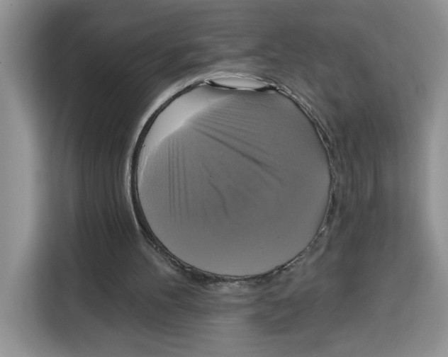 X0000115090100200911241221