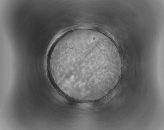 X0000115090102200911241221