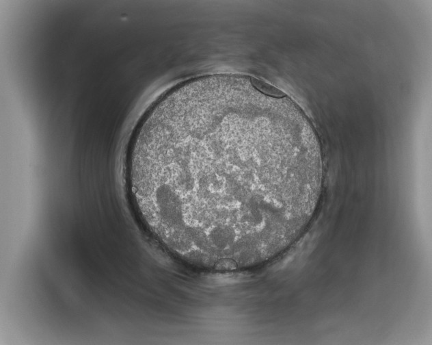 X0000115090103200911241221