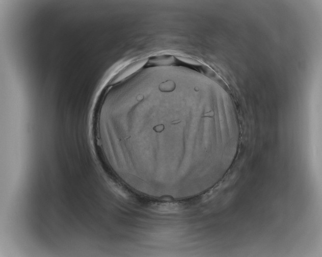 X0000115090104200911241221