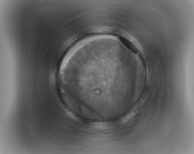 X0000115090105200911241221
