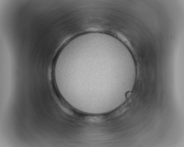 X0000115090106200911241221
