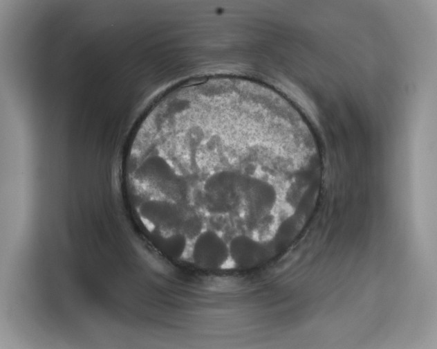 X0000115090107200911241221