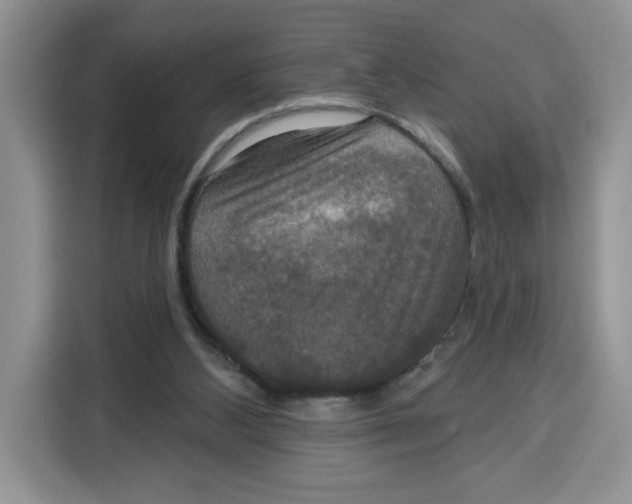 X0000115090108200911241221