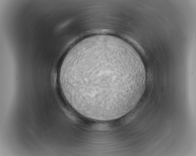 X0000115090110200911241221
