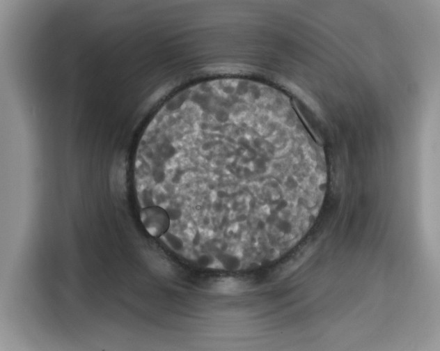 X0000115090111200911241221