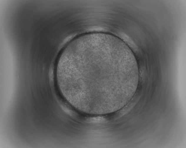 X0000115090112200911241221