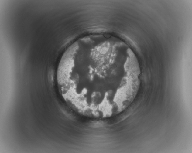 X0000115090115200911241221