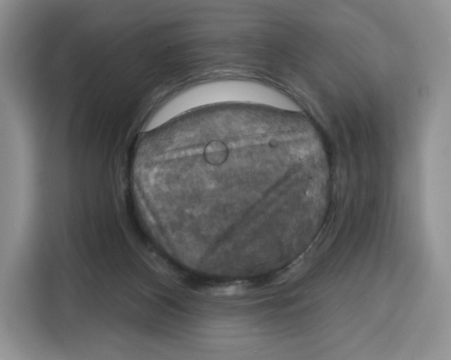 X0000115090116200911241221