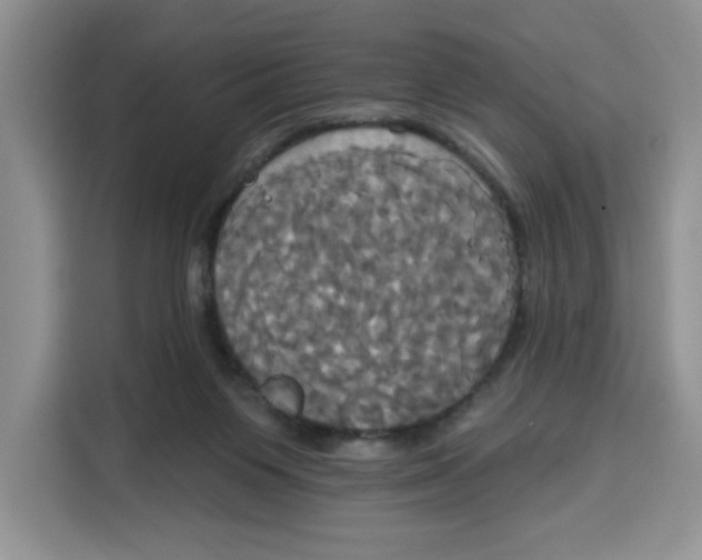 X0000115090119200911241221