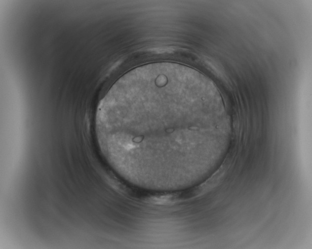 X0000115090120200911241221