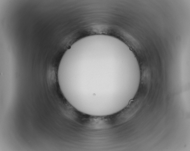 X0000115090121200911241221
