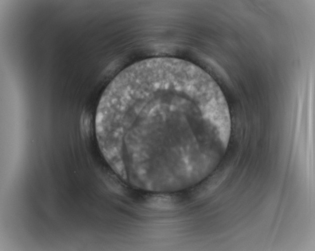 X0000115090123200911241221