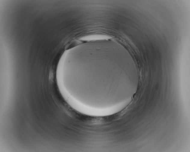 X0000115090124200911241221