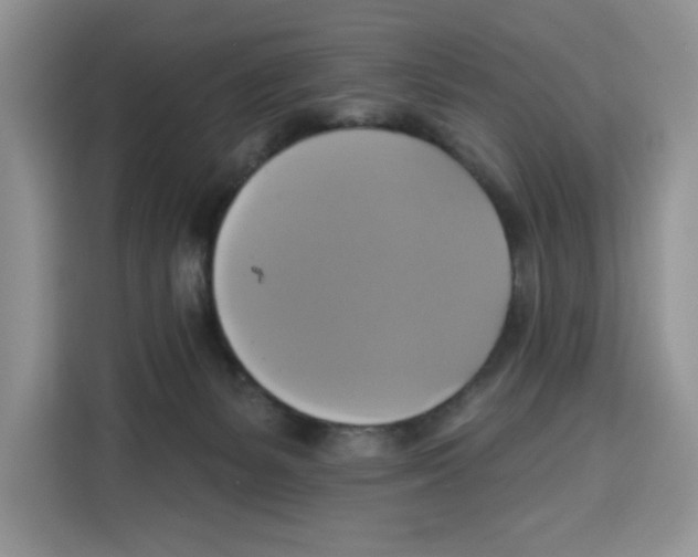 X0000115090127200911241221