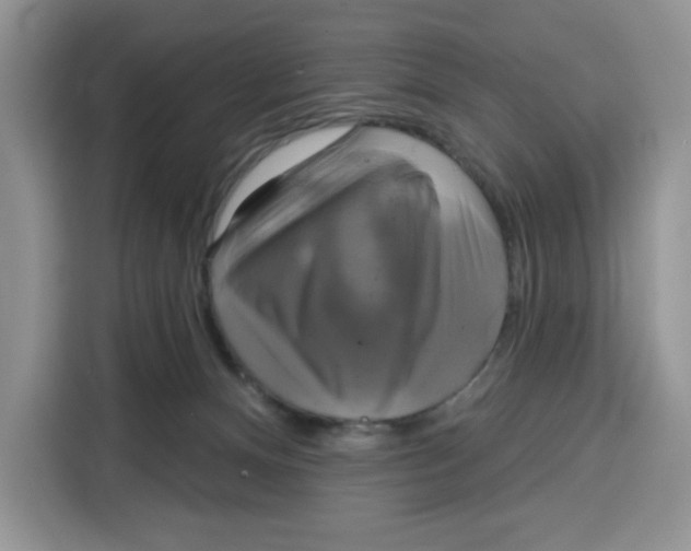 X0000115090128200911241221